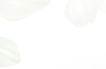 イメージイラスト