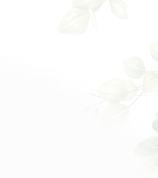 イメージイラスト