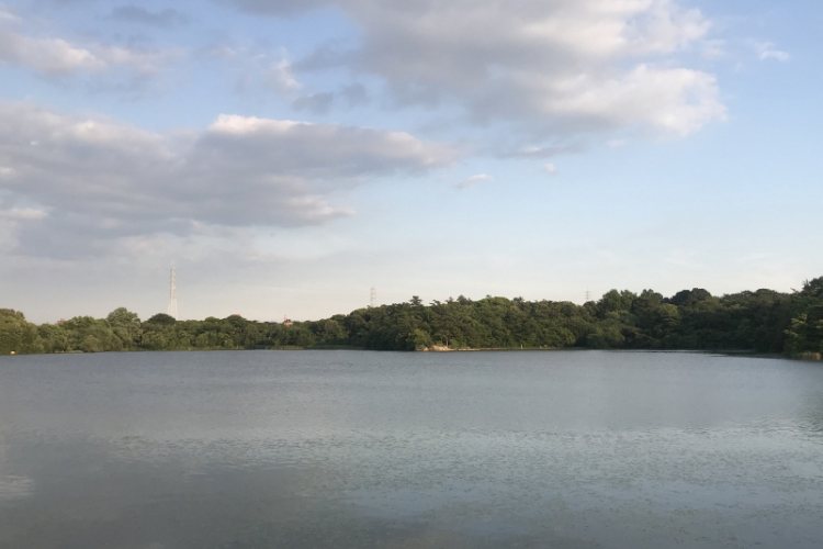 名古屋市名東区の新築一戸建て