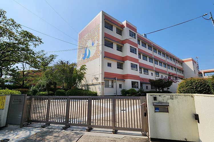 南天白中学校区